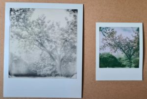 Film Polaroid Go vs i-Type