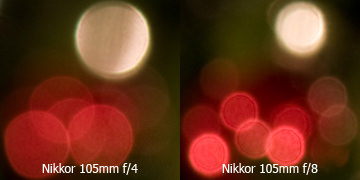 Bokeh Nikon 105mm f/2.8 G VR