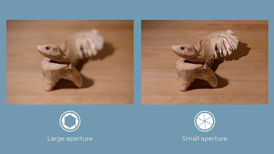 Comparaison de la profondeur de champ entre une photo prise avec une ouverture de f/4 et une ouverture de f/32