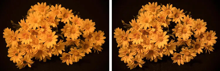 Deux versions d’une image de fleur, l’une avec la mise au point et l’autre sans.