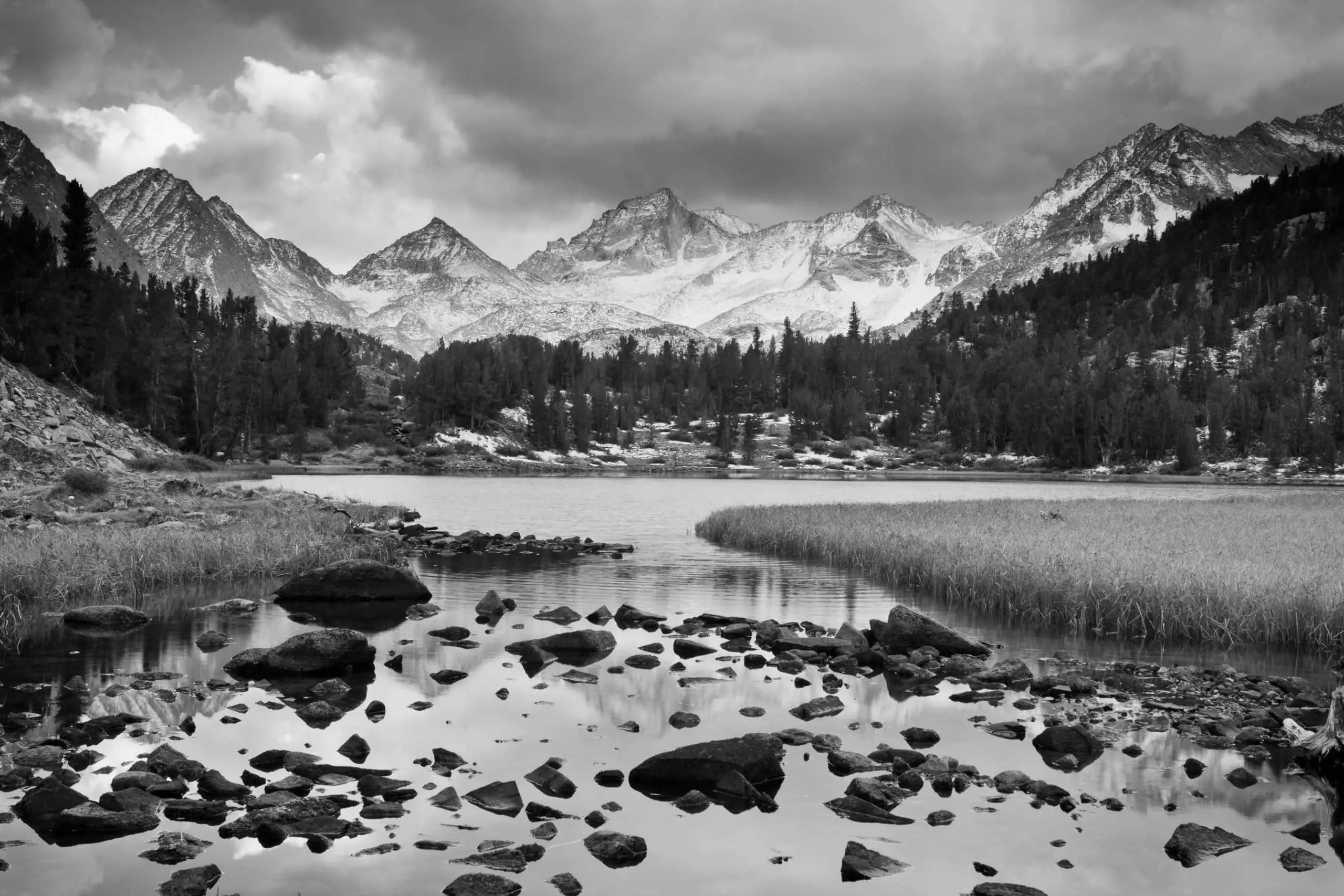 paysage en noir et blanc